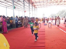 Plants: image 1 0f 4 thumb